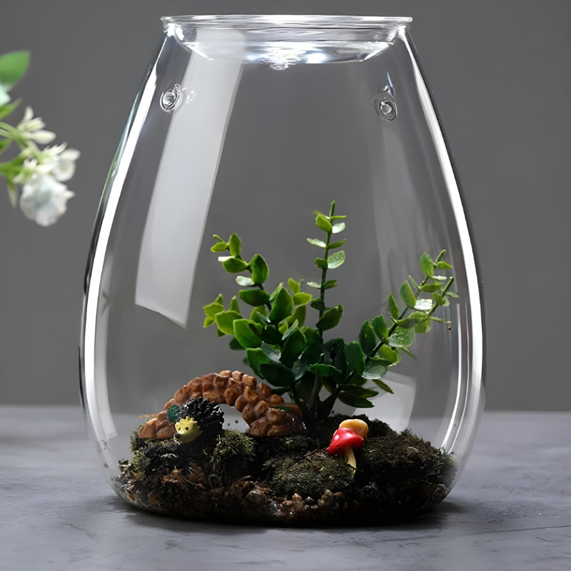 Terrarium Plante en Verre avec Couvercle – Design Compact & Élégant