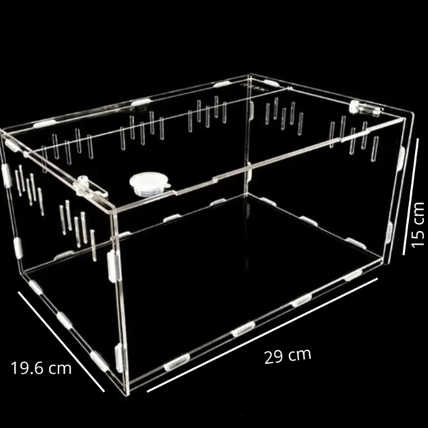 Terrarium Reptile- Transparent en acrylique