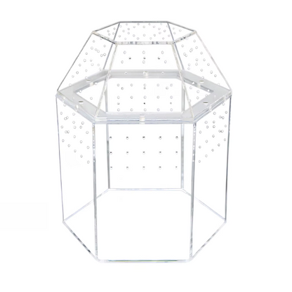 Terrarium Escargot Transparent 360° avec Aération Ultra-Fine