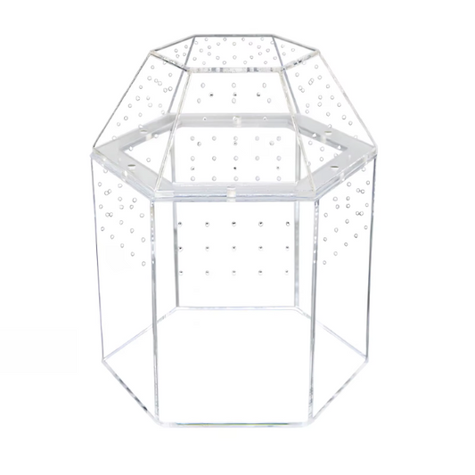 Terrarium Escargot Transparent 360° avec Aération Ultra-Fine