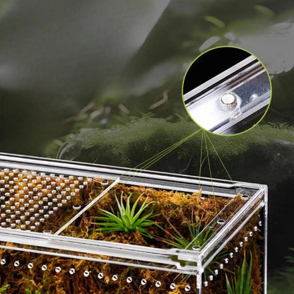 Terrarium gecko en acrylique