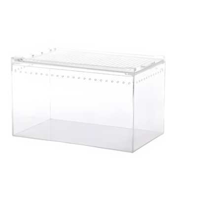 Terrarium gecko en acrylique