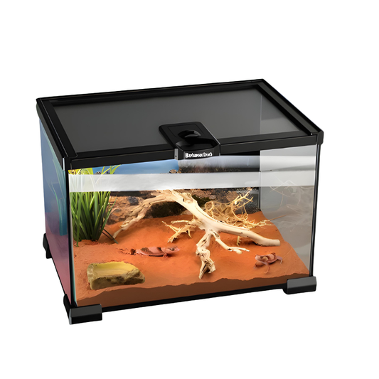 Terrarium Reptile - Enclos Naturel Compact pour Reptiles et Amphibiens