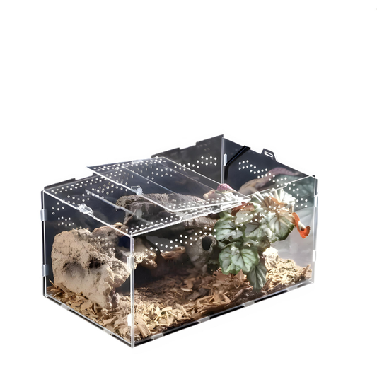 Terrarium Phasme Horizontal Transparent –  Boîte d’Élevage en Acrylique avec Aération Petit
