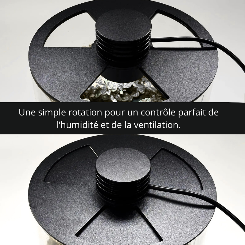 Terrarium Plante Bocal– Écosystème en Verre avec Éclairage LED & Contrôle d’Humidité