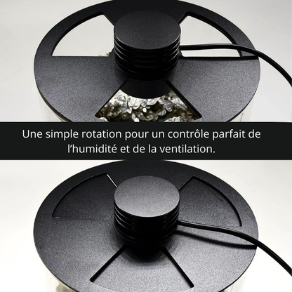 Terrarium Plante Bocal– Écosystème en Verre avec Éclairage LED & Contrôle d’Humidité