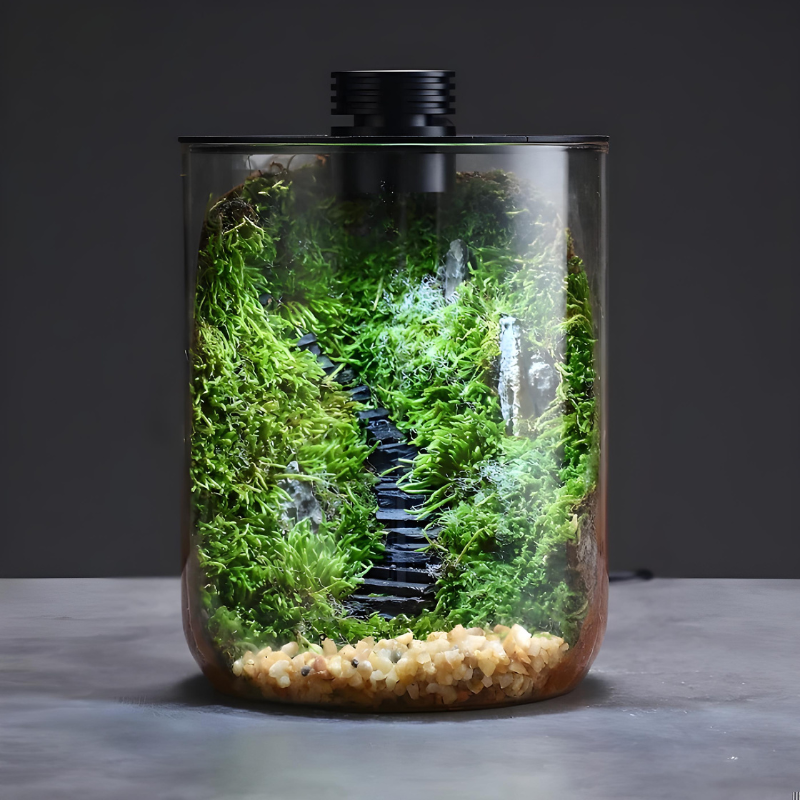 Terrarium Plante Bocal– Écosystème en Verre avec Éclairage LED & Contrôle d’Humidité