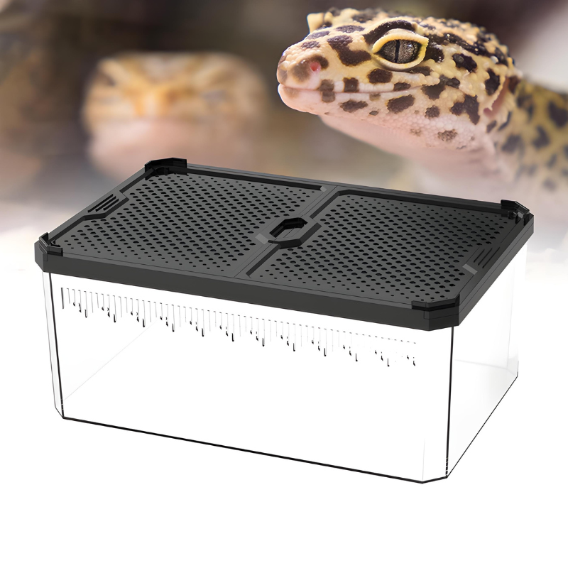 Terrarium Serpent – Boîte de Reproduction Sécurisée & Ventilée avec Couvercle Magnétique