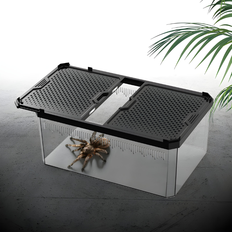 Terrarium Serpent – Boîte de Reproduction Sécurisée & Ventilée avec Couvercle Magnétique