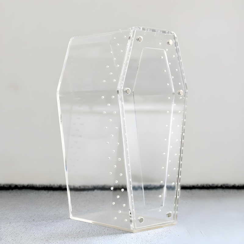 Terrarium Insecte Transparent en Acrylique – Design Cercueil Ultra Moderne