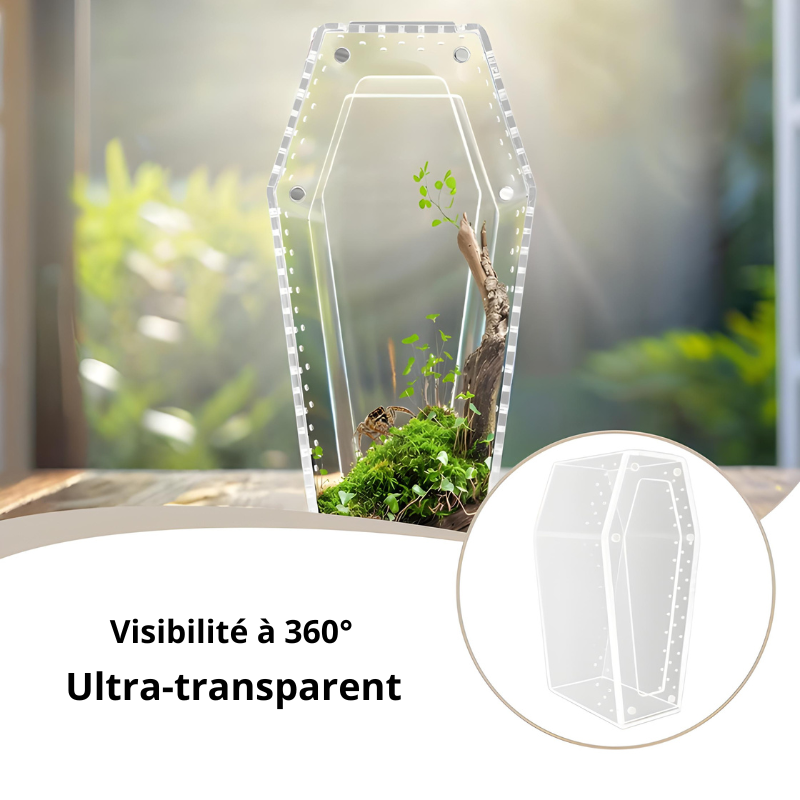 Terrarium Insecte Transparent en Acrylique – Design Cercueil Ultra Moderne
