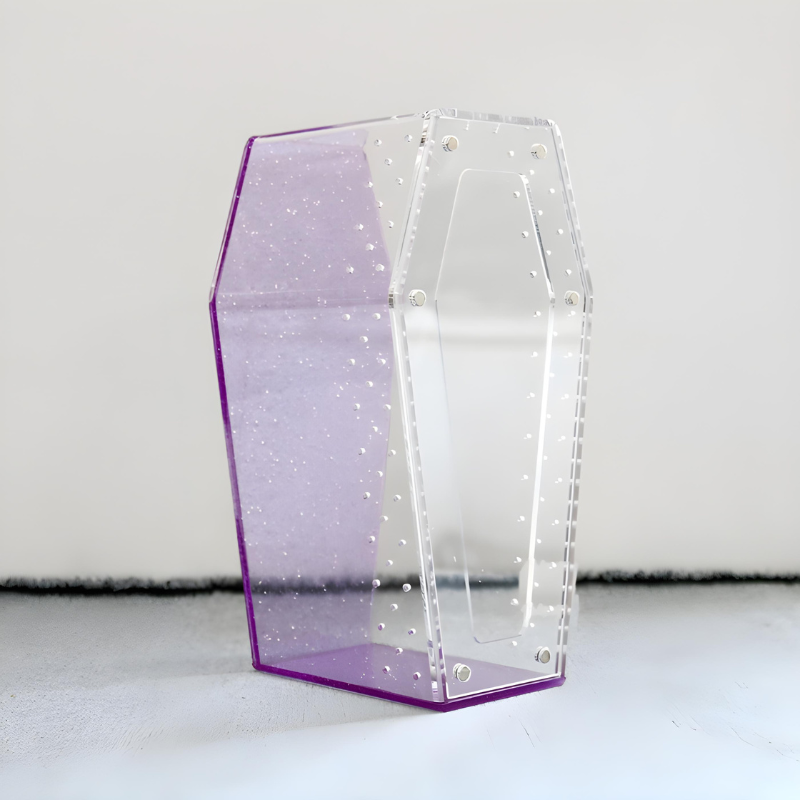 Terrarium Insecte Transparent en Acrylique – Design Cercueil Ultra Moderne