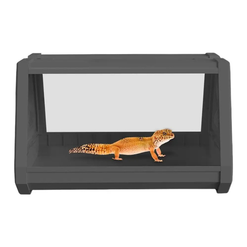 Terrarium Insecte & Reptile – Structure Trapézoïdale Ventilée pour Geckos & Petites Espèces