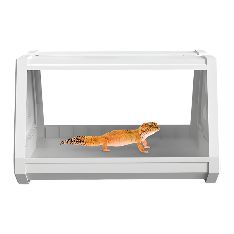 Terrarium Insecte & Reptile – Structure Trapézoïdale Ventilée pour Geckos & Petites Espèces