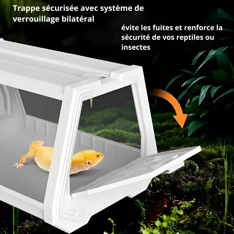 Terrarium Insecte & Reptile – Structure Trapézoïdale Ventilée pour Geckos & Petites Espèces