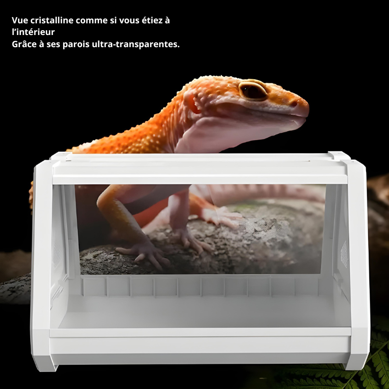 Terrarium Insecte & Reptile – Structure Trapézoïdale Ventilée pour Geckos & Petites Espèces