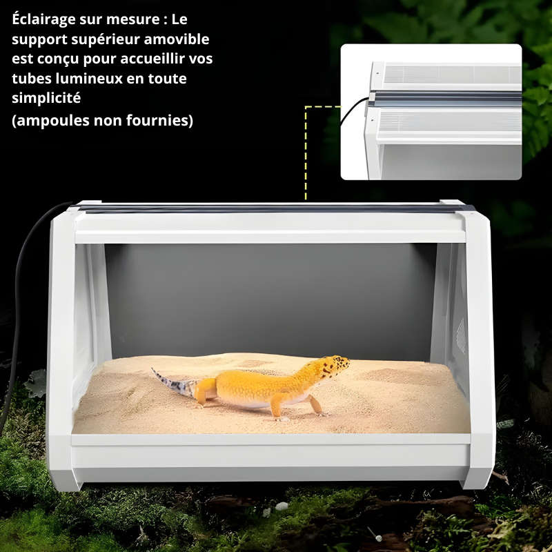 Terrarium Insecte & Reptile – Structure Trapézoïdale Ventilée pour Geckos & Petites Espèces