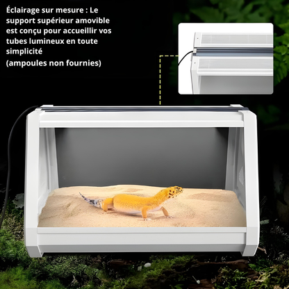 Terrarium Insecte & Reptile – Structure Trapézoïdale Ventilée pour Geckos & Petites Espèces