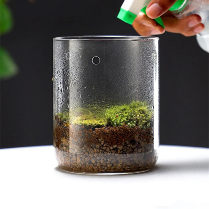 Terrarium Plante en Verre – Avec Aération et Couvercle à Condensation