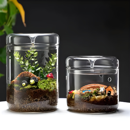 Terrarium Plante en Verre – Avec Aération et Couvercle à Condensation