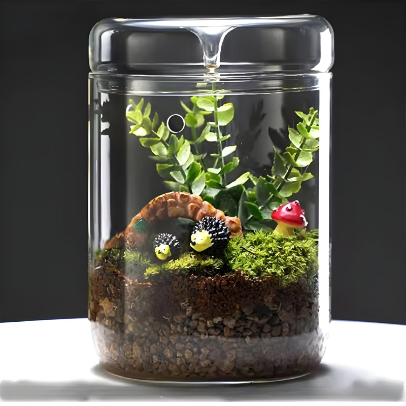Terrarium Plante en Verre – Avec Aération et Couvercle à Condensation