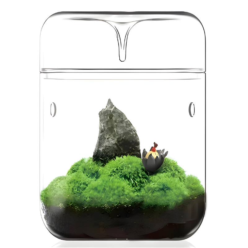 Terrarium Plante en Verre – Avec Aération et Couvercle à Condensation