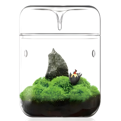 Terrarium Plante en Verre – Avec Aération et Couvercle à Condensation