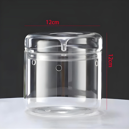 Terrarium Plante en Verre – Avec Aération et Couvercle à Condensation