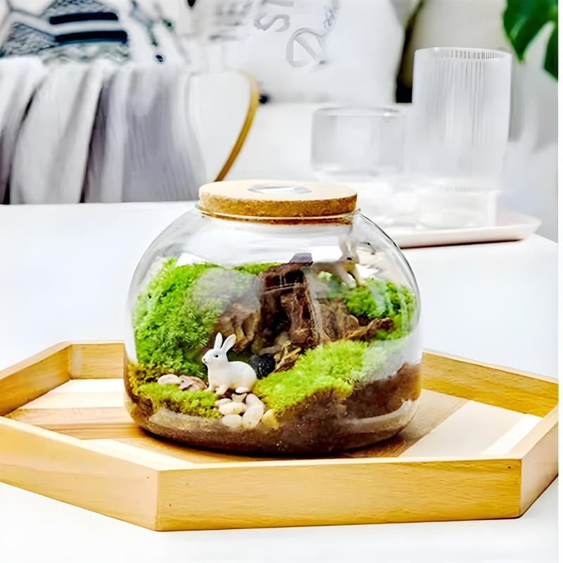 Terrarium Plante en Verre avec Bouchon en Liège