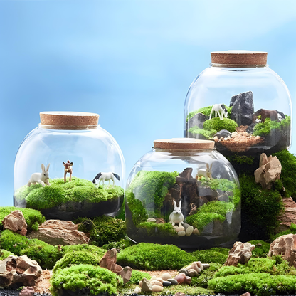 Terrarium Plante en Verre avec Bouchon en Liège