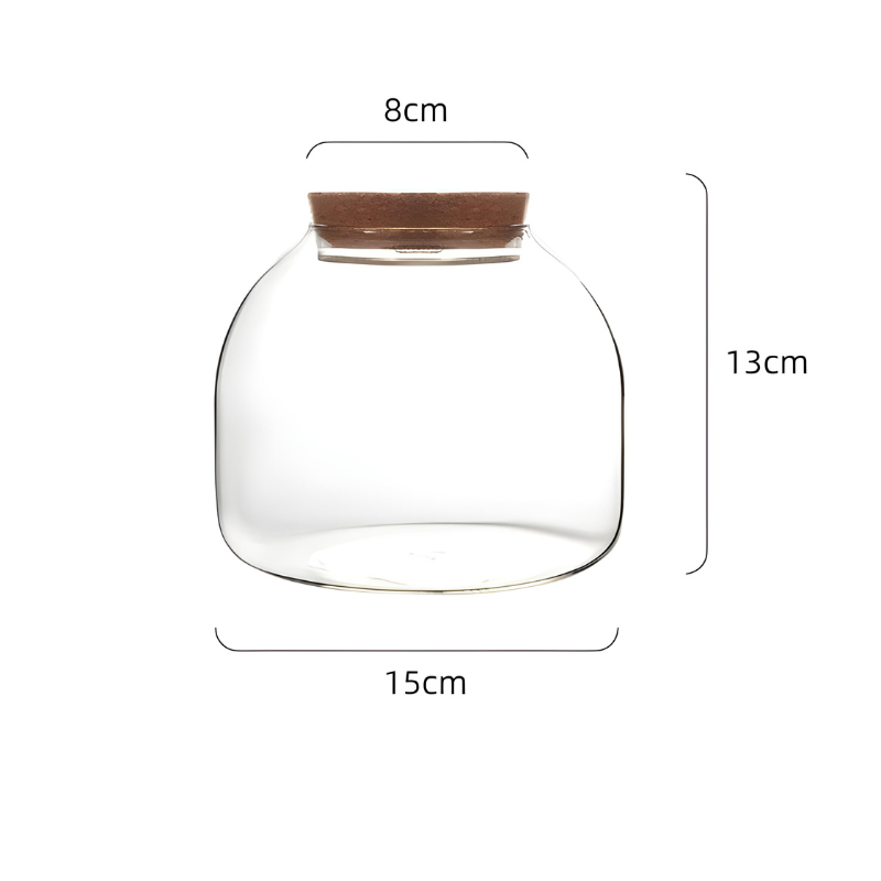 Terrarium Plante en Verre avec Bouchon en Liège