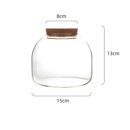 Terrarium Plante en Verre avec Bouchon en Liège