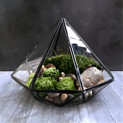 Terrarium Plante en Verre - Design Diamant
