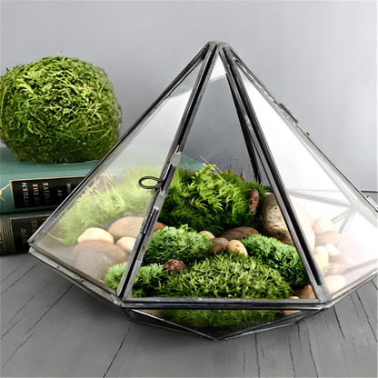 Terrarium Plante en Verre - Design Diamant