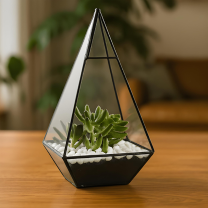 Terrarium Plante - Forme Géométrique en Verre