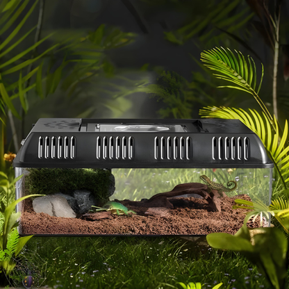 Terrarium Tortue en Acrylique Transparent avec Couvercle