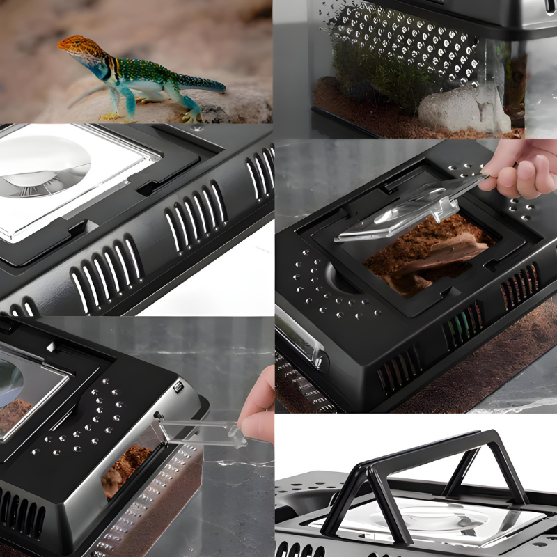 Terrarium Tortue en Acrylique Transparent avec Couvercle