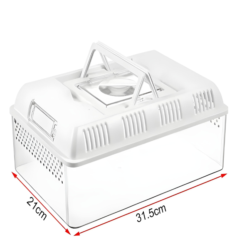 Terrarium Tortue en Acrylique Transparent avec Couvercle