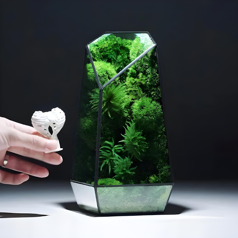 Terrarium Plante – En Verre Forme Géométrique Trapèze