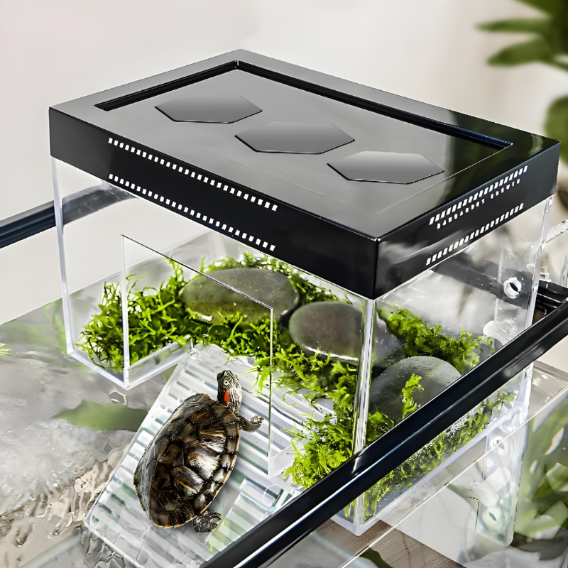Terrarium Tortue Aquatique avec Rampe et Zone Sèche