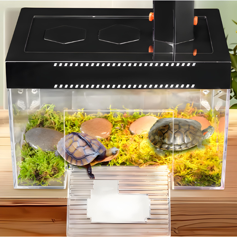 Terrarium Tortue Aquatique avec Rampe et Zone Sèche