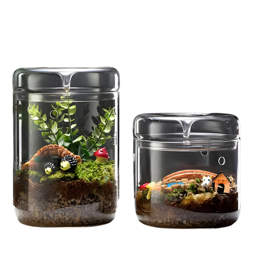 Terrarium Plante en Verre – Avec Aération et Couvercle à Condensation