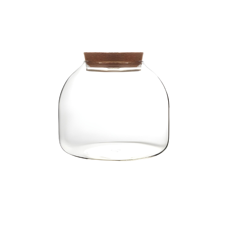 Terrarium Plante en Verre avec Bouchon en Liège