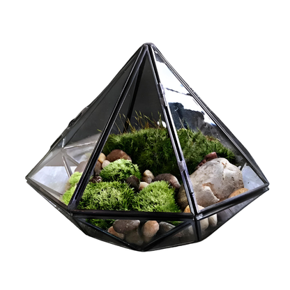 Terrarium Plante en Verre - Design Diamant