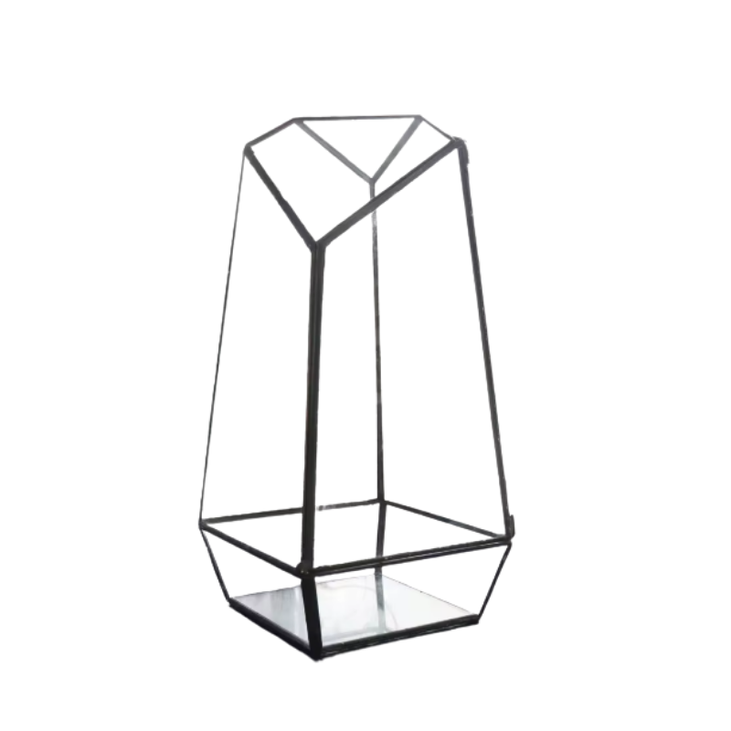 Terrarium Plante – En Verre Forme Géométrique Trapèze