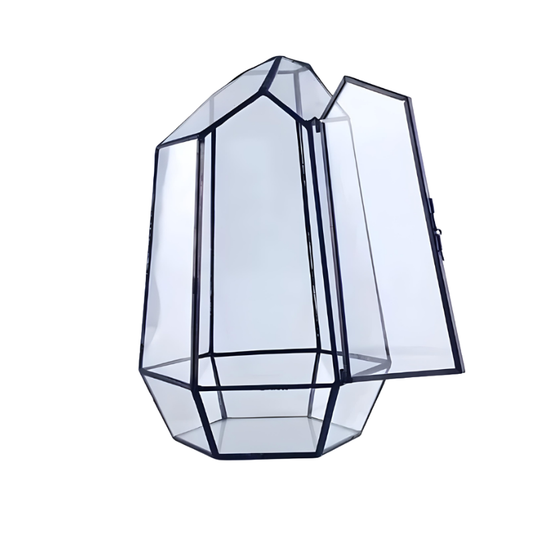 Terrarium Plante En Verre - Design Géométrique