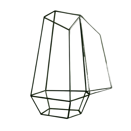 Grand Terrarium Plante – En Verre Design Géométrique