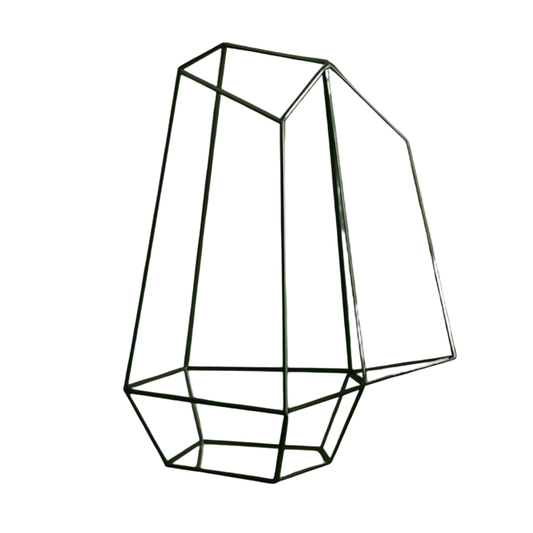 Grand Terrarium Plante – En Verre Design Géométrique