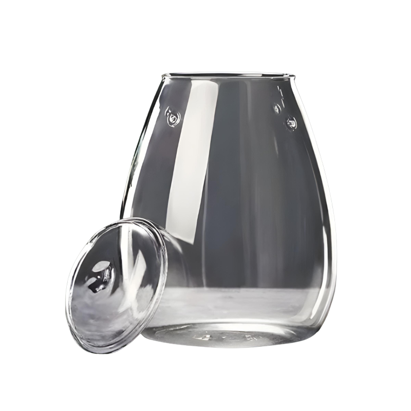Terrarium Plante en Verre avec Couvercle  – Design Compact & Élégant