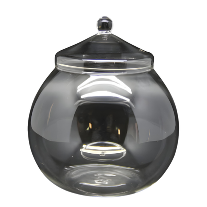 Terrarium Plante – Bocal Sphérique